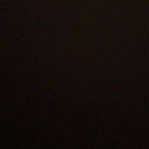 Meet your Posher, Laila